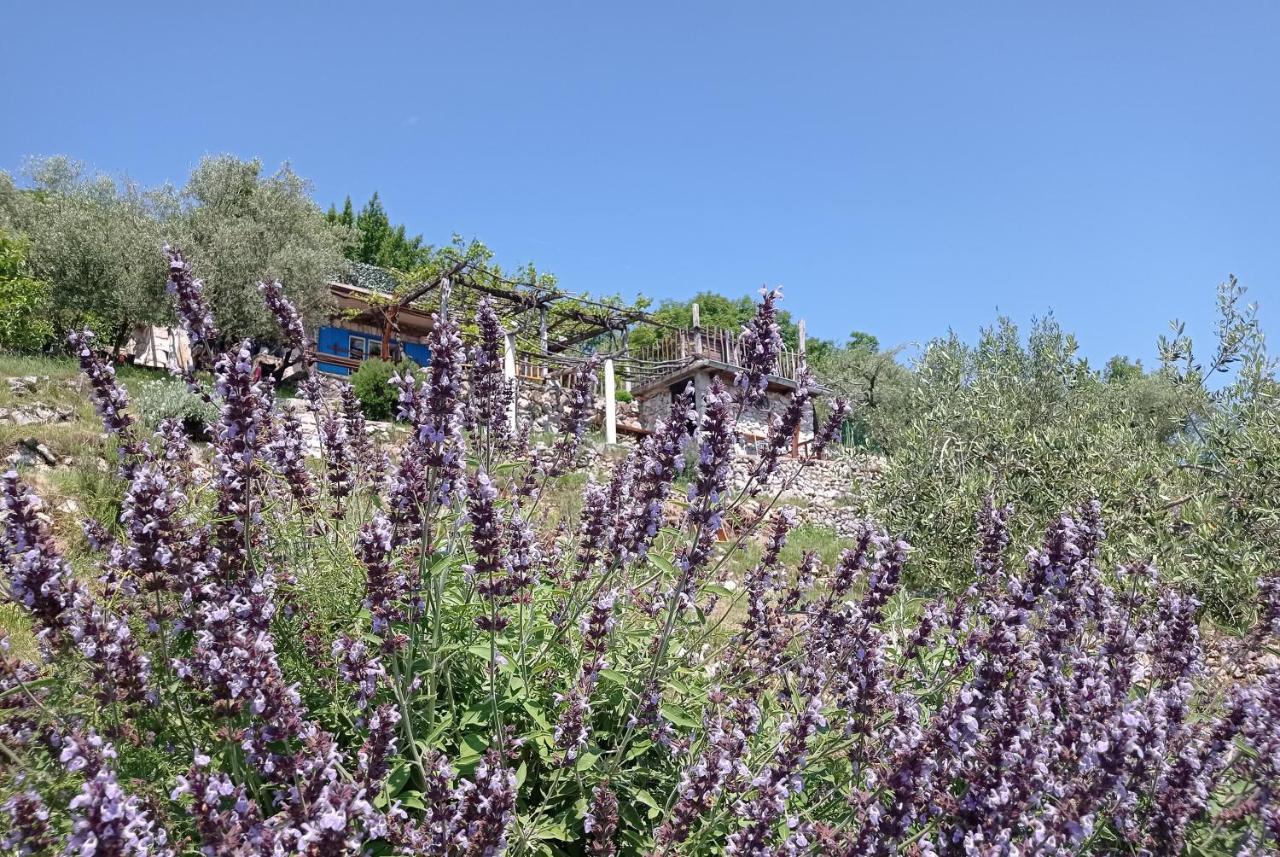 Vila Casa Delle Olive Mošćenička Draga Exteriér fotografie
