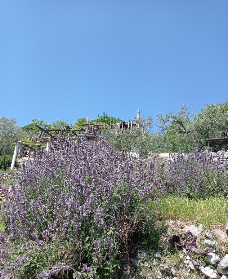 Vila Casa Delle Olive Mošćenička Draga Exteriér fotografie