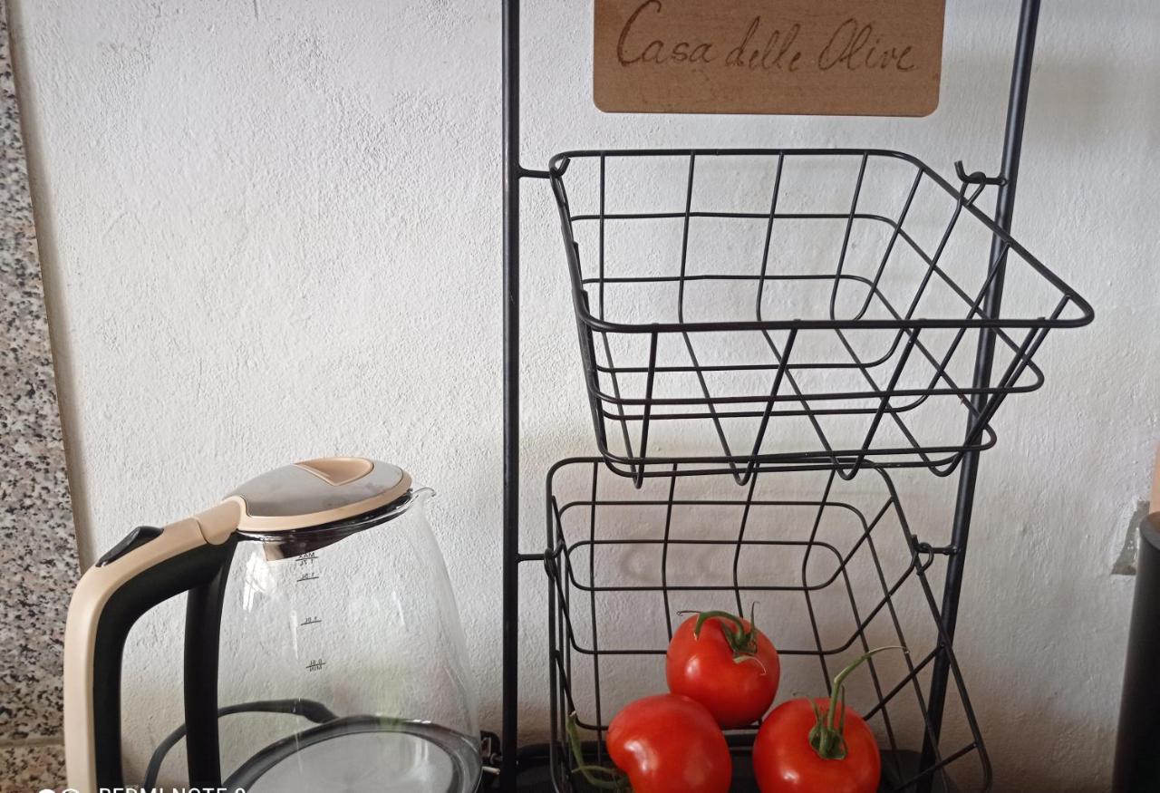 Vila Casa Delle Olive Mošćenička Draga Exteriér fotografie