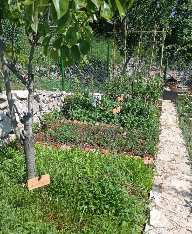 Vila Casa Delle Olive Mošćenička Draga Exteriér fotografie