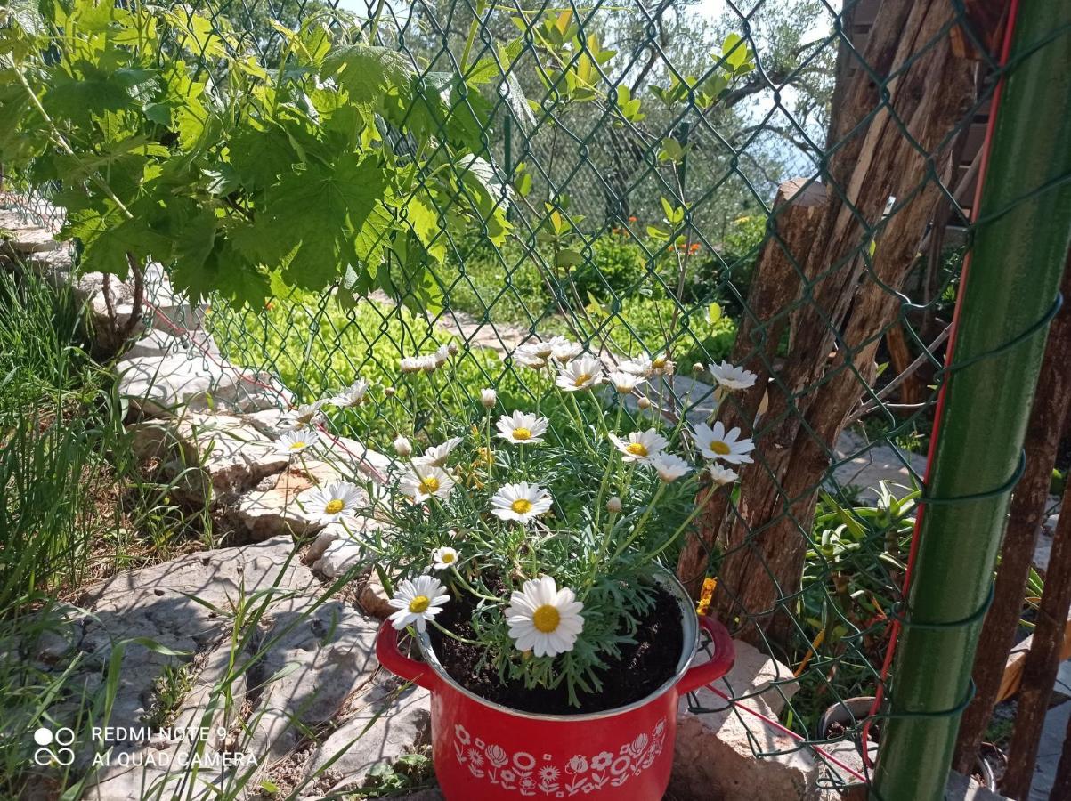 Vila Casa Delle Olive Mošćenička Draga Exteriér fotografie