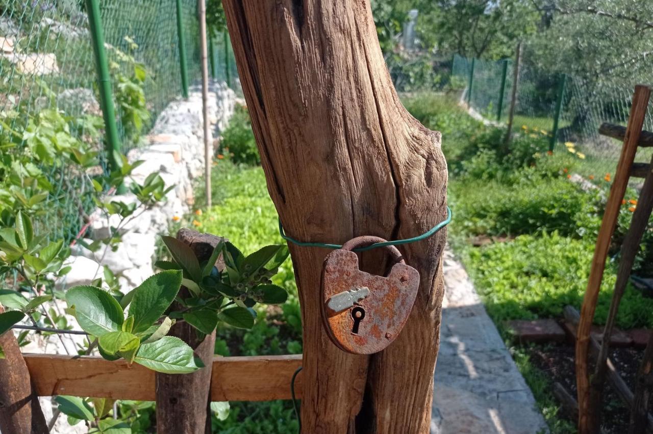 Vila Casa Delle Olive Mošćenička Draga Exteriér fotografie